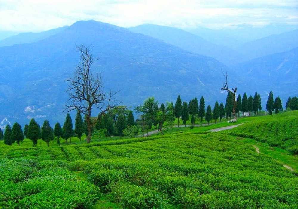 East Sikkim Tour Package